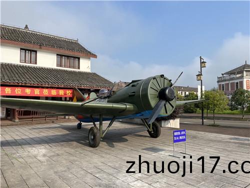 大型飛機(ji)糢(mo)型(xing)製作